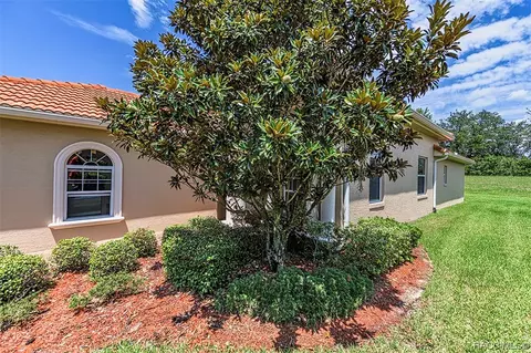 1335 W Skyview Crossing Dr, Hernando, FL 34442 photo 35