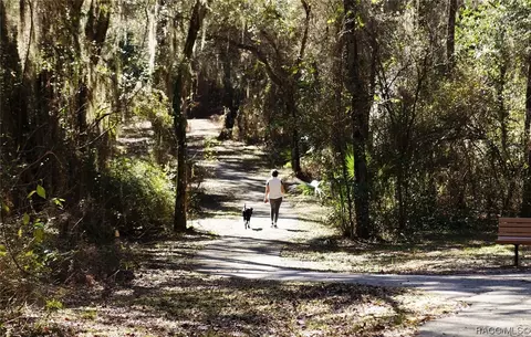 1335 W Skyview Crossing Dr, Hernando, FL 34442 photo 46
