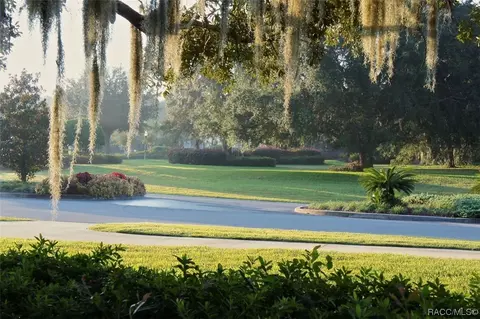 1335 W Skyview Crossing Dr, Hernando, FL 34442 photo 43