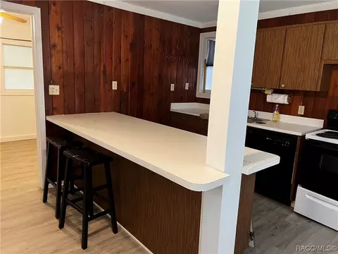 4715 E Harvard Dr, Hernando, FL 34442 photo 6