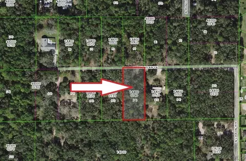 1384 W Milan Ln, Hernando, FL 34442 photo 2