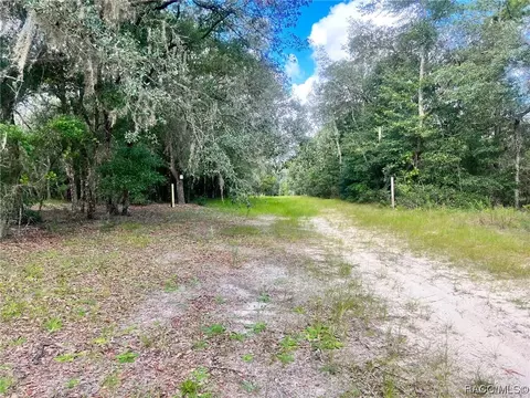 1384 W Milan Ln, Hernando, FL 34442 photo 5