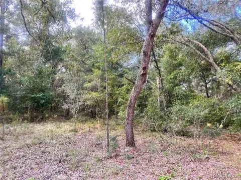 1384 W Milan Ln, Hernando, FL 34442