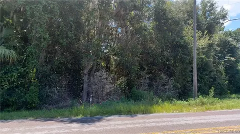 4015 E Shorewood Dr, Hernando, FL 34442 photo 8