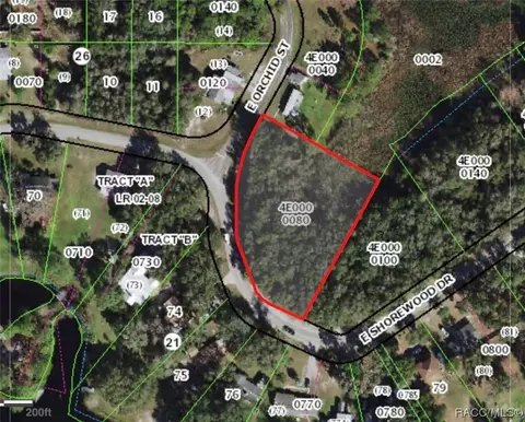4015 E Shorewood Dr, Hernando, FL 34442 photo 2