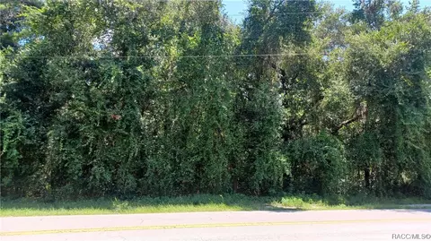 4015 E Shorewood Dr, Hernando, FL 34442 photo 5