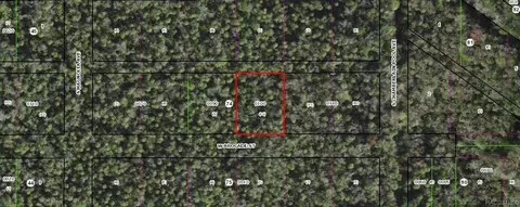10681 W Brocade St, Homosassa, FL 34448