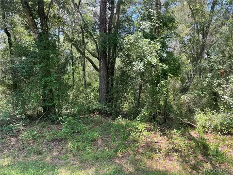 9344 N Kirkland Ter, Citrus Springs, FL 34434