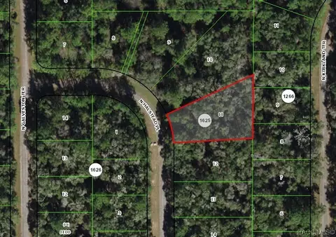 9379 N Halstead Loop, Citrus Springs, FL 34434