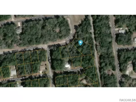 10581 N Adler Dr, Citrus Springs, FL 34434