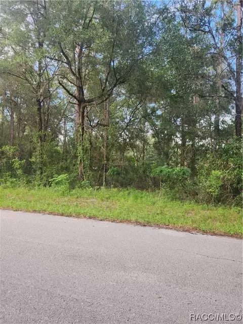 787 N Charles Ave, Inverness, FL 34453