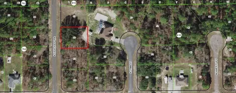6975 N Fairchild Ter, Citrus Springs, FL 34434