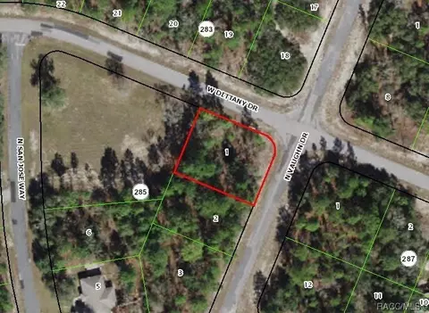 9668 N Vaughn Dr, Citrus Springs, FL 34433