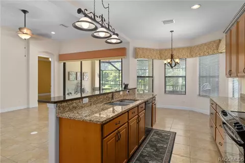 1184 W Beagle Run Loop, Hernando, FL 34442 photo 20
