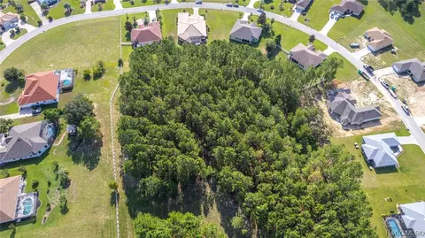 1751 E Gate Dancer Cir, Inverness, FL 34453 photo 43