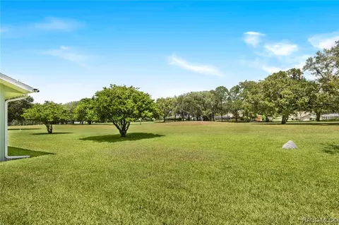535 E Falconry Ct, Hernando, FL 34442 photo 10