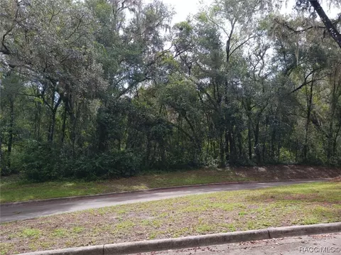 10171 N Big Bass Trl, Dunnellon, FL 34434
