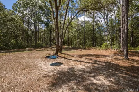 10064 N Athenia Dr, Citrus Springs, FL 34434
