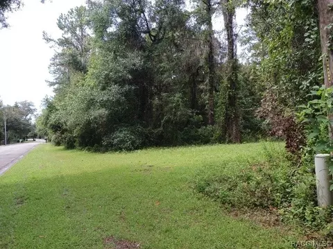 10472 N Big Bass Trl, Dunnellon, FL 34434