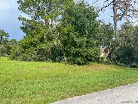 1206 N Spend A Buck Dr, Hernando, FL 34442 photo 8