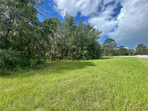 1206 N Spend A Buck Dr, Hernando, FL 34442 photo 9