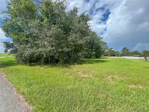 1206 N Spend A Buck Dr, Hernando, FL 34442 photo 5