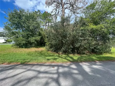 1206 N Spend A Buck Dr, Hernando, FL 34442 photo 4