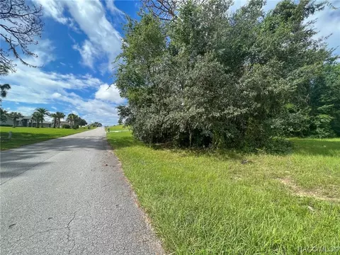 1206 N Spend A Buck Dr, Hernando, FL 34442 photo 12