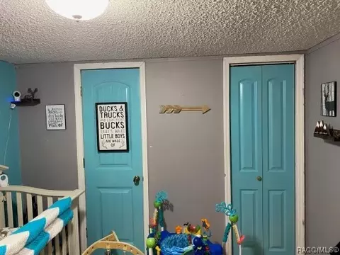3126 E Buffalo Ln, Hernando, FL 34442 photo 11