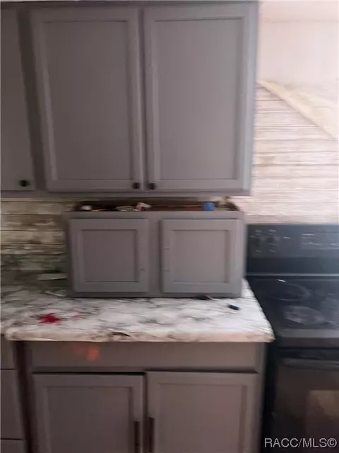 3160 E Buffalo Ln, Hernando, FL 34442 photo 12