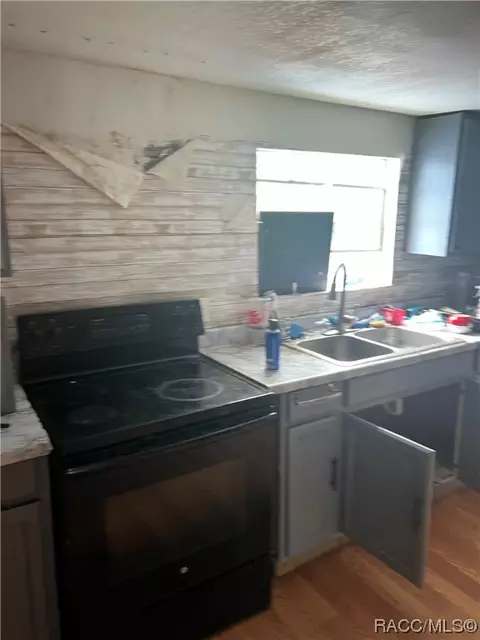 3160 E Buffalo Ln, Hernando, FL 34442 photo 8