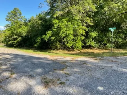 462 W Maffet Pl, Citrus Springs, FL 34434