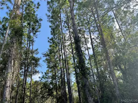 6522 W Mina Ln, Dunnellon, FL 34433