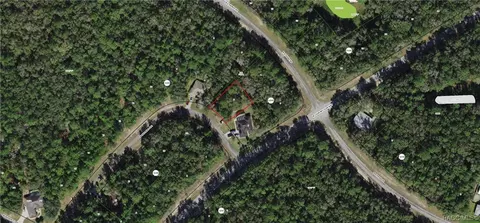10096 N Wayland Ave, Citrus Springs, FL 34434