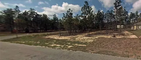7830 N Triana Dr, Citrus Springs, FL 34434