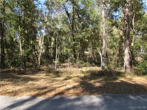 6717 E Hampton Ln, Inverness, FL 34452 photo 8