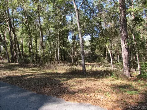 6717 E Hampton Ln, Inverness, FL 34452 photo 7