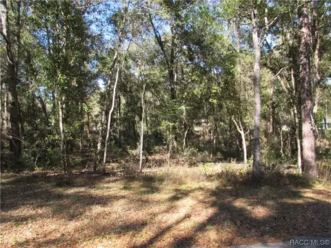 6717 E Hampton Ln, Inverness, FL 34452