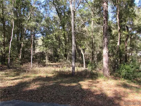 6717 E Hampton Ln, Inverness, FL 34452 photo 3