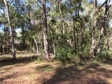 6717 E Hampton Ln, Inverness, FL 34452 photo 6