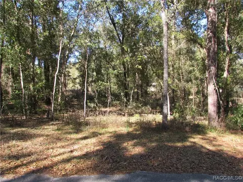 6717 E Hampton Ln, Inverness, FL 34452 photo 2