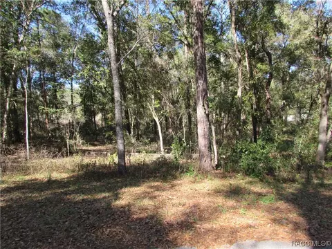 6717 E Hampton Ln, Inverness, FL 34452 photo 4
