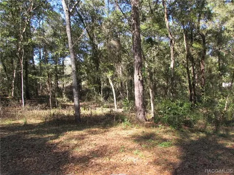 6717 E Hampton Ln, Inverness, FL 34452 photo 5