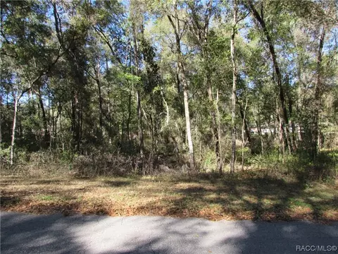 6733 E Hampton Ln, Inverness, FL 34452 photo 9