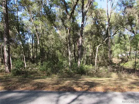 6733 E Hampton Ln, Inverness, FL 34452 photo 4