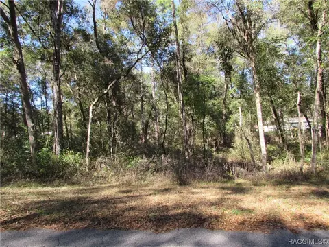 6733 E Hampton Ln, Inverness, FL 34452 photo 7