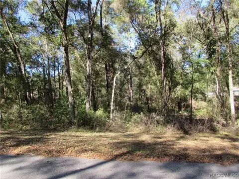 6733 E Hampton Ln, Inverness, FL 34452 photo 6