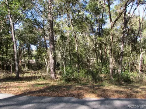 6733 E Hampton Ln, Inverness, FL 34452 photo 2