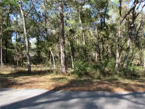 6733 E Hampton Ln, Inverness, FL 34452