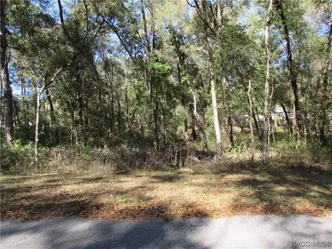 6733 E Hampton Ln, Inverness, FL 34452 photo 8